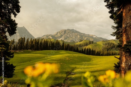 Beautiful mountain scenery. In-depth trip on the Nafran Valley Trek in Jammu and Kashmir, India