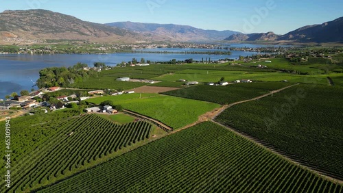 Canadian agricultural landscape aerial of a vineyard in the Okanagan Valley in Osoyoos, British Columbia, Canada.