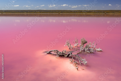 Pink Lake, Hutt Lagoon near Port Gregory Western Australia photo