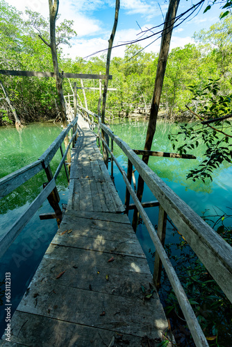 Wooden bridge pathway over marshy river with vegetation thickets, summer travel exploration concept, Curu Wildlife Reserve, Costa Rica wildlife photo