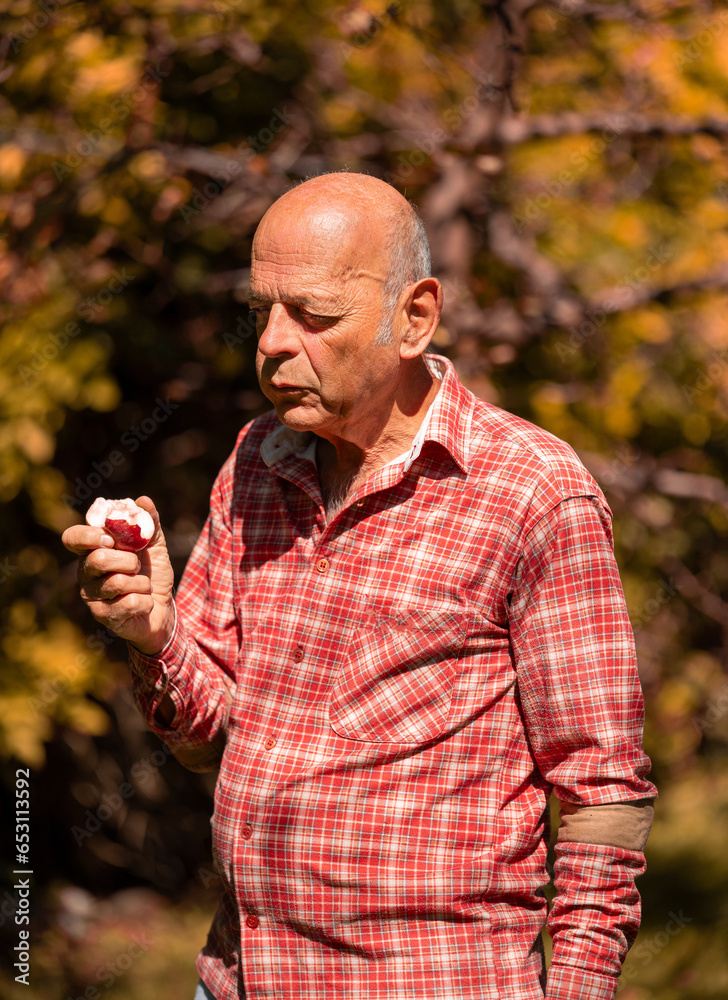 Older man picking up apples and enjoying the taste.