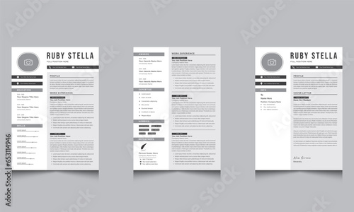 Resume and Curriculum Vitae Design Professional CV Template