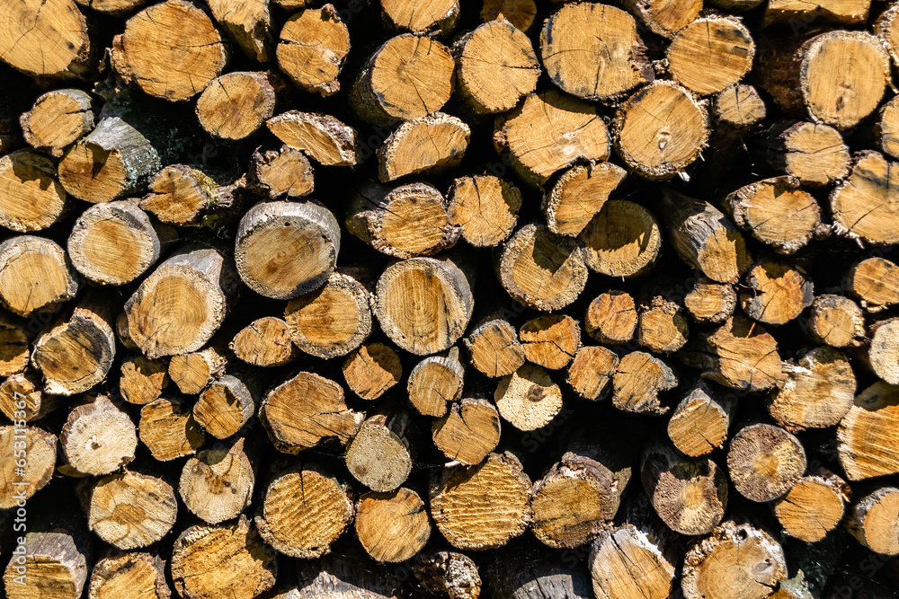 Photography on theme big wall of stacked oak tree logs in cracks Photography on theme big wall of stacked oak tree logs in cracks