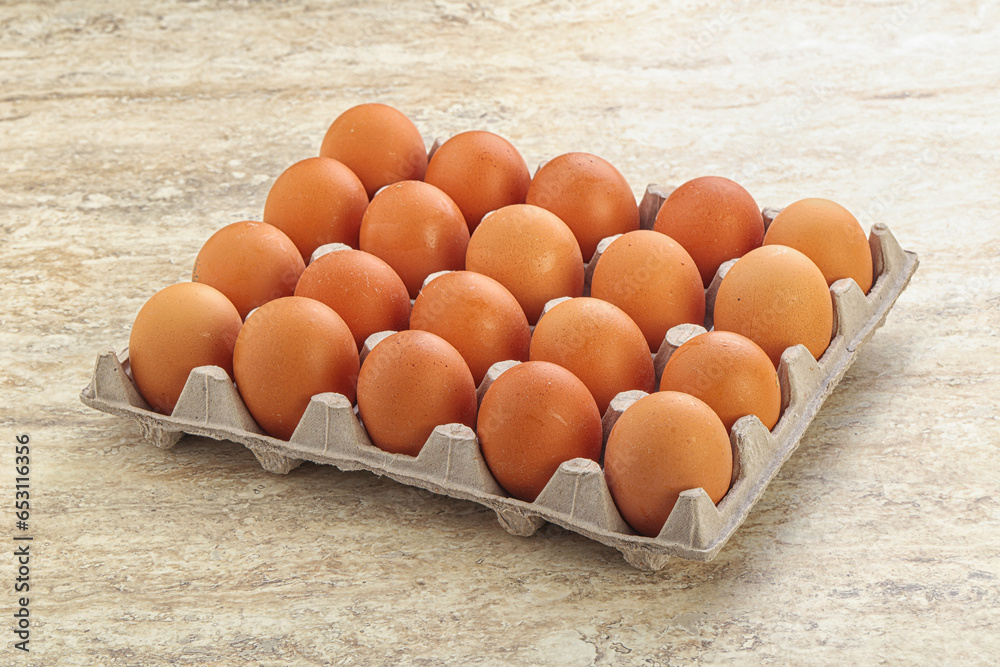 Organic chicken egg in the carton Organic chicken egg in the carton