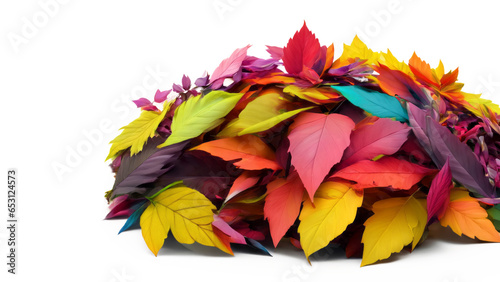  Autumn Leaves Pile Heap 