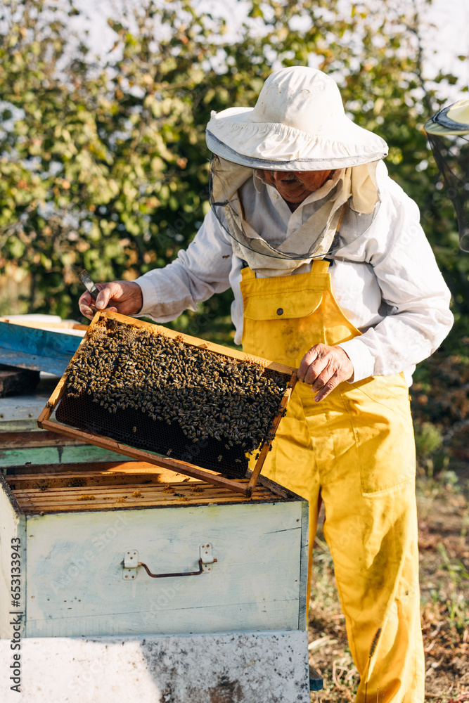 Beekeeper holding frame from beehive bare handed. Beekeeper holding frame from beehive bare handed.
