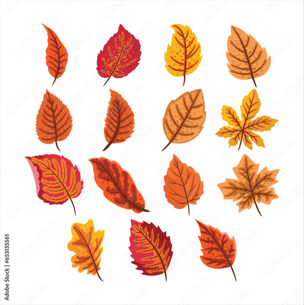 Obraz premium Autum Leaves Fall Vector Set