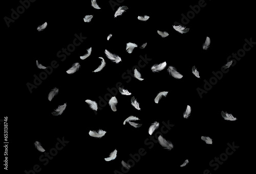 Abstract White Bird Feathers Falling in The Air. Feathers Floating on Black Background.	
