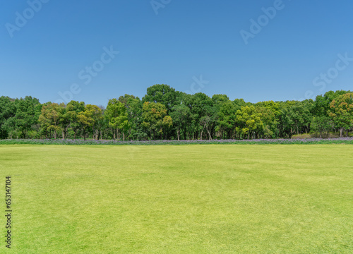 empty grassland and clear sky background in the park