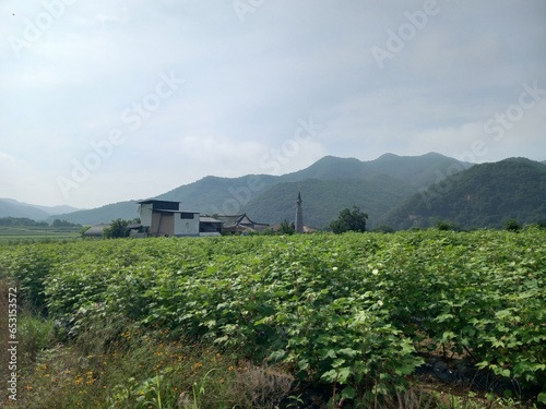 Canvas Print travel korea landscape fun tourist