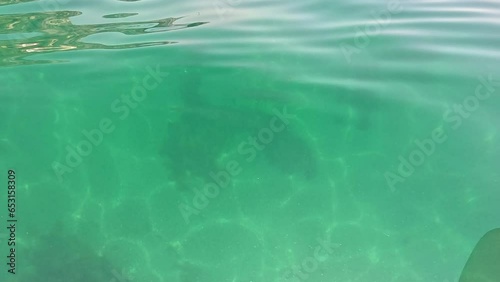 Wallpaper Mural Sea water surface background. Low angle view from kayak, camera flies over the clear green sea water. Nobody. Holiday recreation concept. Abstract nautical summer ocean nature. Slow motion. Torontodigital.ca
