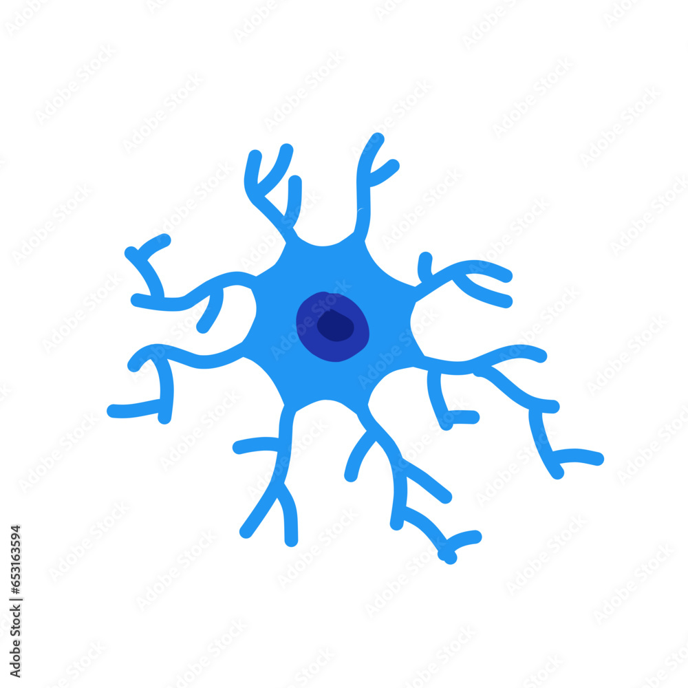 Human Neuron Structure Human Neuron Structure