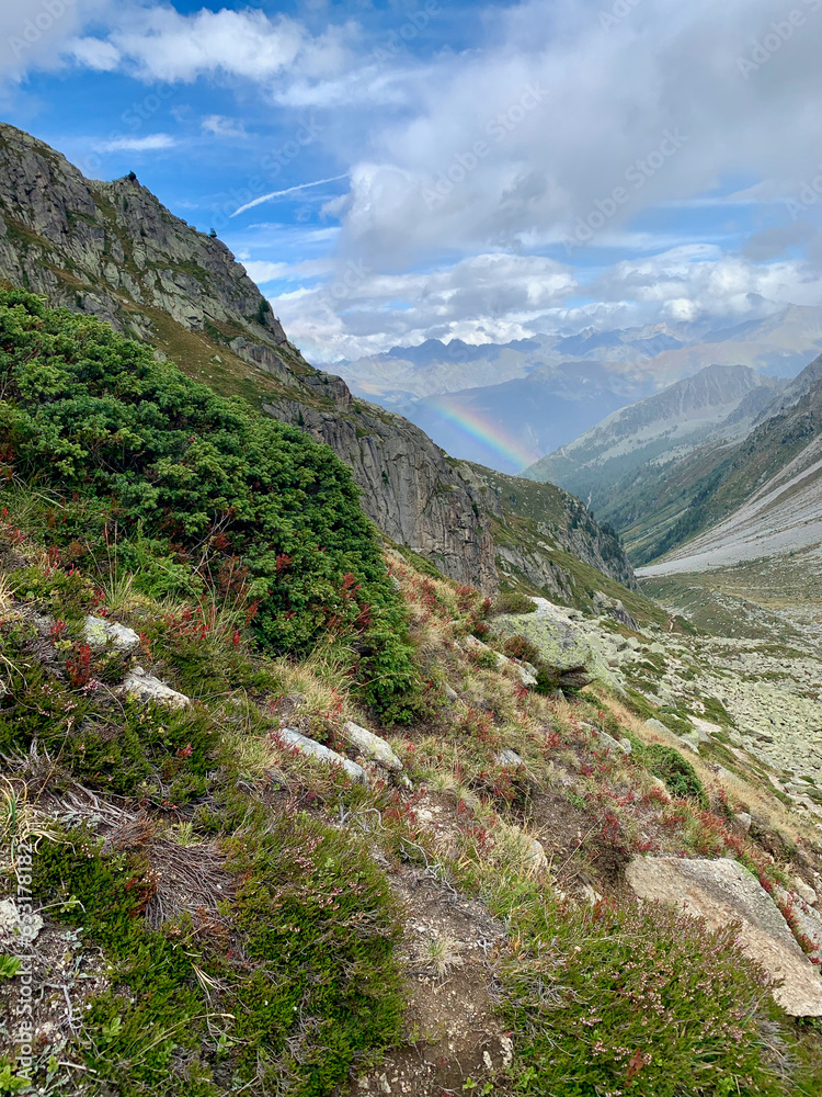 Chemin de randonnée qui mène à la fenêtre d'Arpette dans les Alpes suisses, variante du TMB