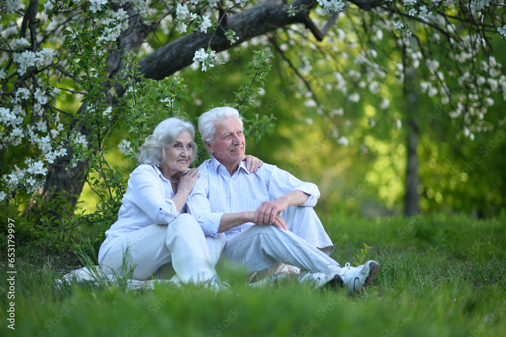 Fototapeta premium Senior couple sitting on the grass in the park