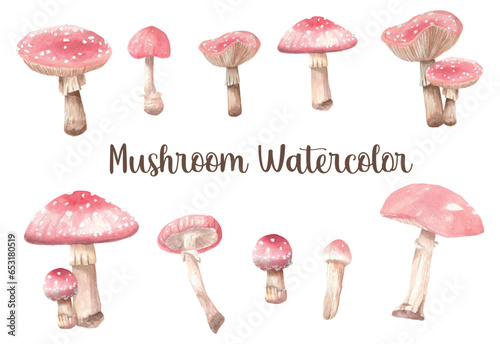 set of watercolor red mushrooms