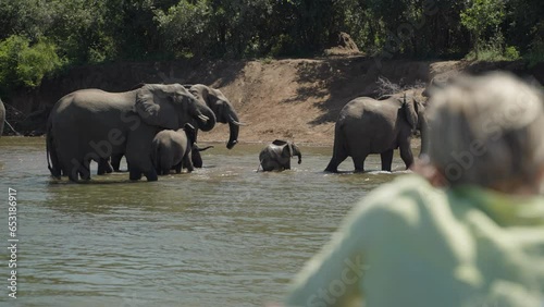 Over the shoulder of tourists on a boat safari looking at a herd of elephants crossing the Zambezi river