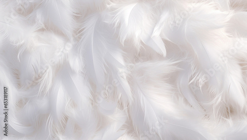 Pattern feather background textured bird white fluffy soft