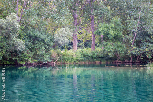 lake in the forest