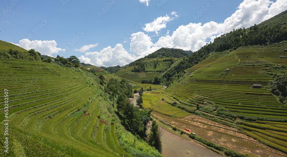 Landscape with green and yellow terraced rice fields and a river in the highlands of noth-Vietnam, Yen Bai province

