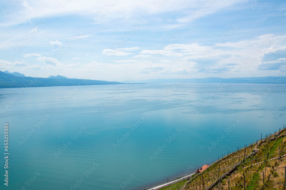 Obraz premium Vue sur les vignes du léman