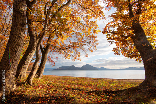 View of Lake Toya, framed by autumn trees in the evening, and volcanic island in the middle of the lake, Abuta, Hokkaido, Japan photo