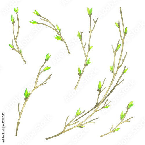 Watercolor spring branches on a white background. Wreath with young branches and leaves, buds on a white background.