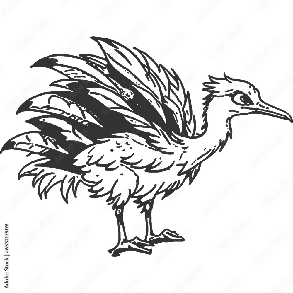 Fototapeta premium Gloomfeather Vintage Illustration Vector