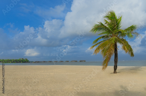 Fototapeta Naklejka Na Ścianę i Meble -  Malediven, Urlaub unter Palmen.