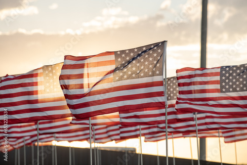 bandiere americane al vento  photo
