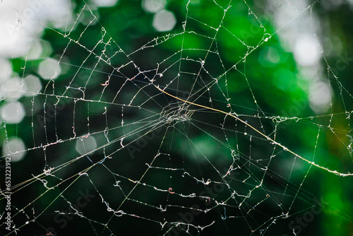 A spider web.green leaf on blurred background.A hunting web made by a spider.Closeup.