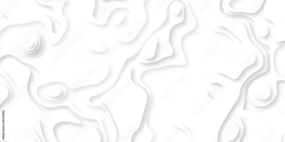 Abstract white paper cut background with lines. Background of the topographic map. White wave paper curved reliefs abstract background. Realistic papercut decoration textured with wavy layers. Abstract white paper cut background with lines. Background of the topographic map. White wave paper curved reliefs abstract background. Realistic papercut decoration textured with wavy layers.