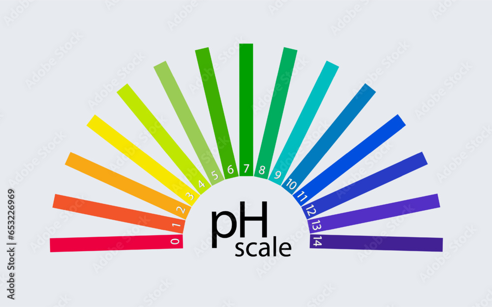 pH scale chart for acid and alkaline solutions. Acidbase balance