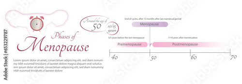Phases of the Menopause.silhouette of a female reproductive organ with a clock inside, together with the horizontal diagram of the 3 main phases of the process.