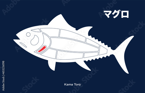 Kama Toro, Tuna japanese Cuts diagram on blue background.