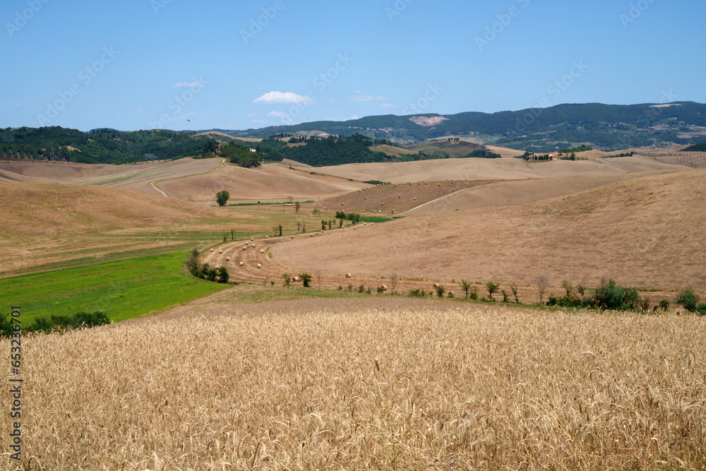Country landscape near Volterra, Tuscany