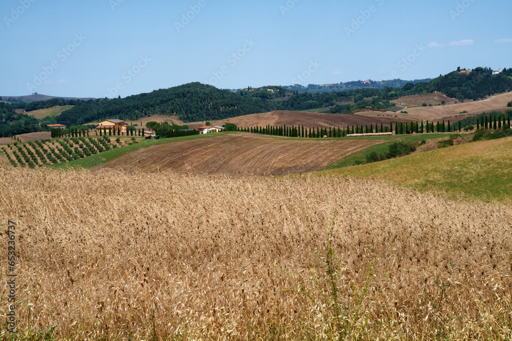 Country landscape near Volterra, Tuscany