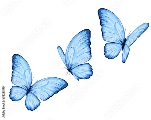 set of butterflies blue butterfly  © ulucsevda