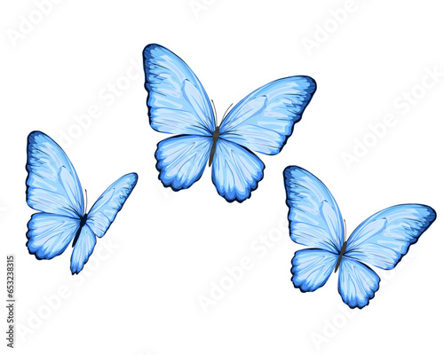 set of blue butterflies © ulucsevda