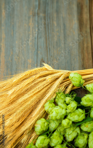 Fresh cones of hops on one half and ears of grain on other one, lay on wood background. Raw material for brewing production. Green fresh ripe hop cones and golden spica ears for making beer and bread.