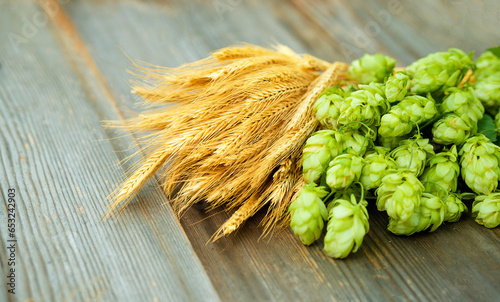 Fresh cones of hops on one half and ears of grain on other one. Raw material for brewing production. Green fresh ripe hop cones and golden spica ears for making beer and bread. Close up. (ID: 653242903)