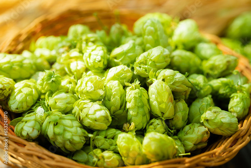 Fresh cones of hops in the basket and ears of grain near on wood background. Raw material for brewing production. Green fresh ripe hop cones and golden spica ears for making beer and bread.