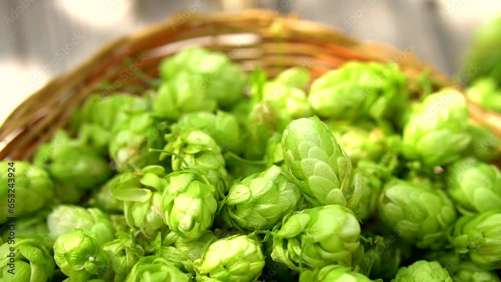 The transition from a basket with hop cones to gold ears on wod background The transition from a basket with hop cones to gold ears on wod background