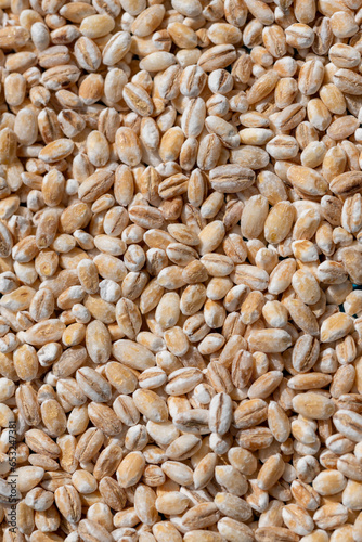 close up of barley seeds