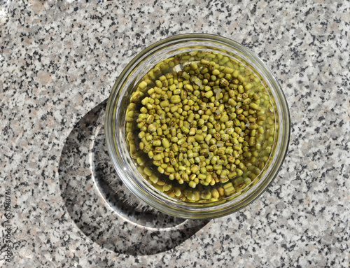 Mung beans soaked in water in a glass bowl on a granite countertop.