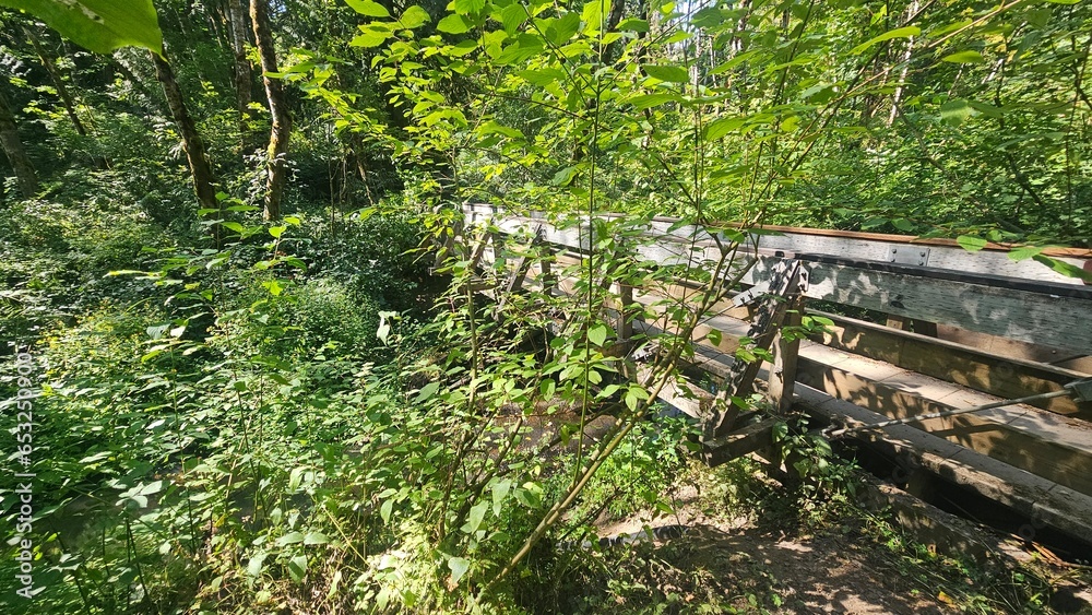 wood bridge wood bridge