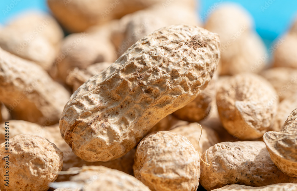 peanut in shells 