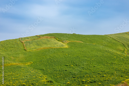 Landscape with pastures in the mountains in the west of the island of Sicily