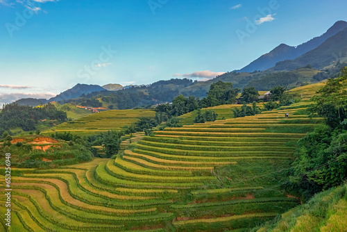 Aerial view of rice field or rice terraces   Sapa  Vietnam. Y Linh Ho village  Ta Van valley