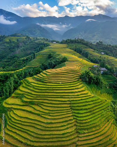 Aerial view of rice field or rice terraces , Sapa, Vietnam. Y Linh Ho village, Ta Van valley