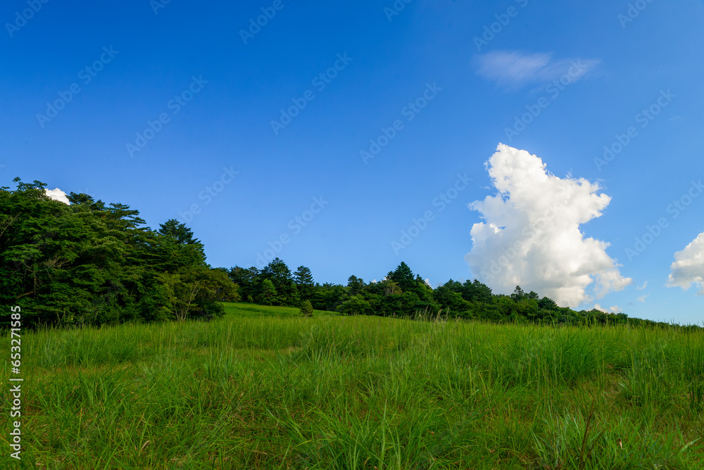 草原と青空